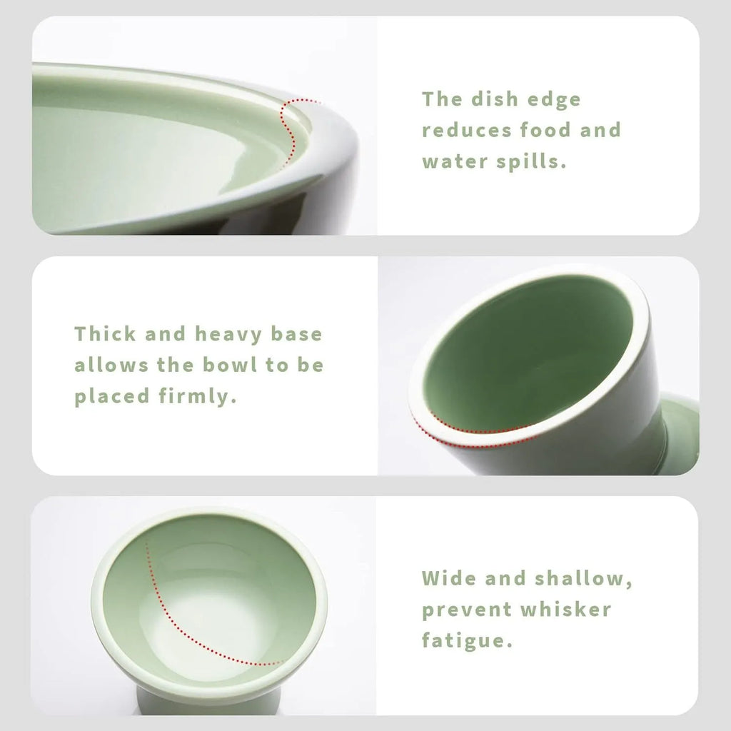 Ceramic elevated cat food bowl in blue showing wide shallow design and raised height