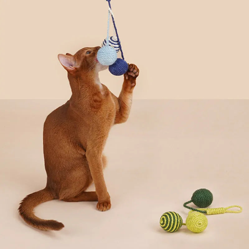 Cat teaser wand with catnip ball and feather toys in multiple colours including blue, green, red, yellow