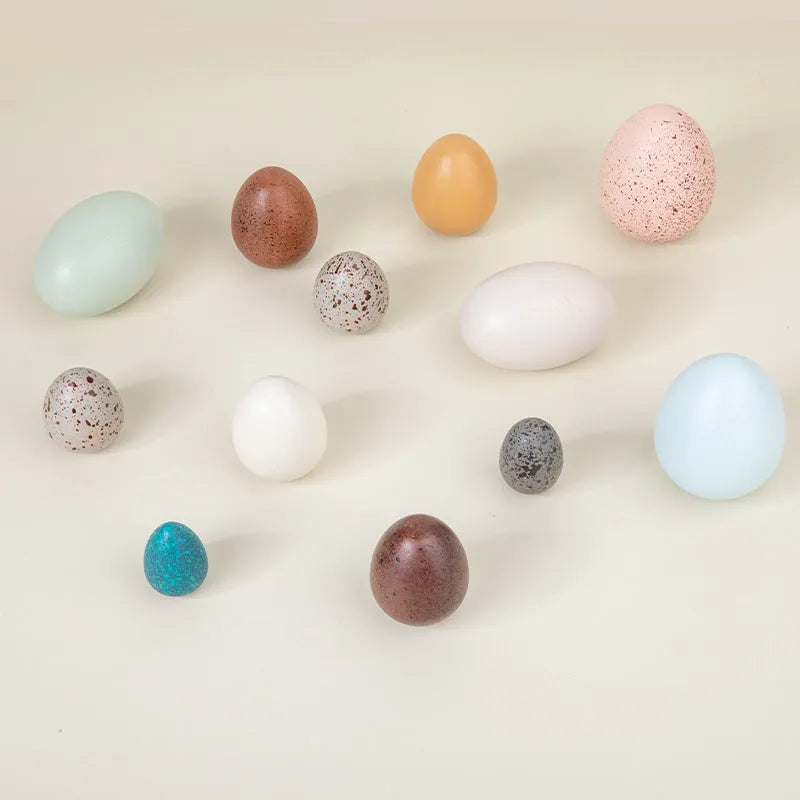 Wooden simulation bird eggs toy suit in Colourful Bird Eggs option, packaged in colour box
