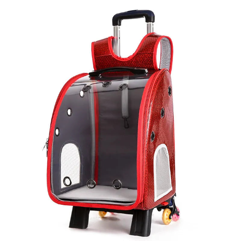 Transparent pet trolley bag with folding shoulder design in blue colour showing clear acrylic cover