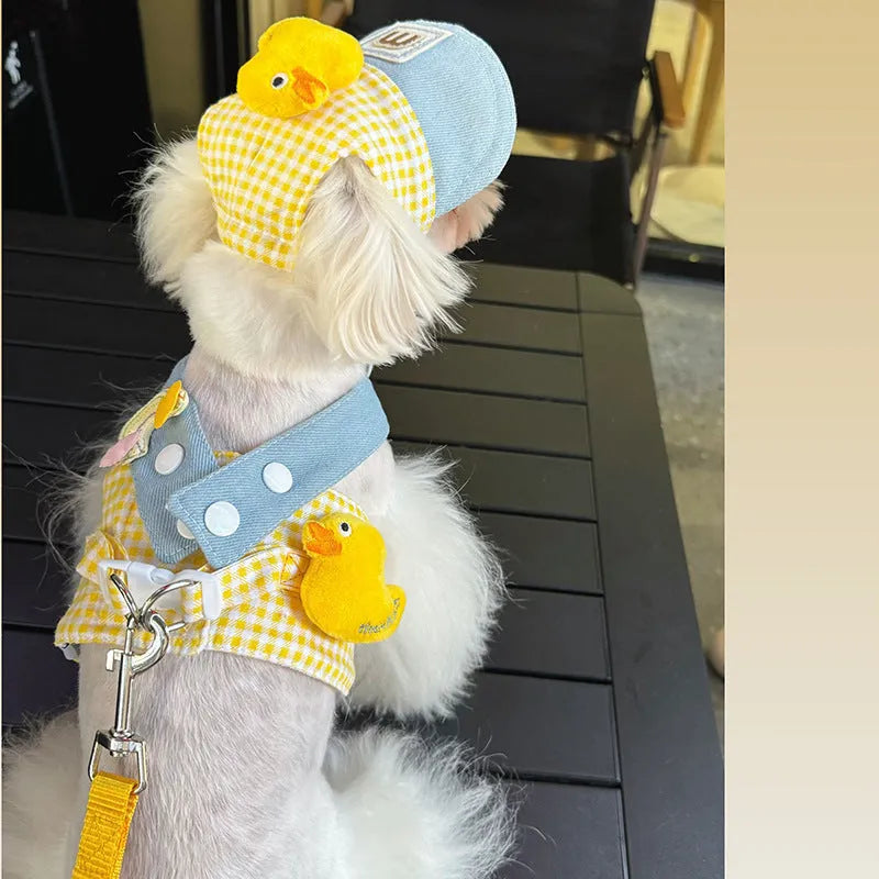Three-piece pet set with cute hat, wire rope pulling rope, and harness with leash in various sizes