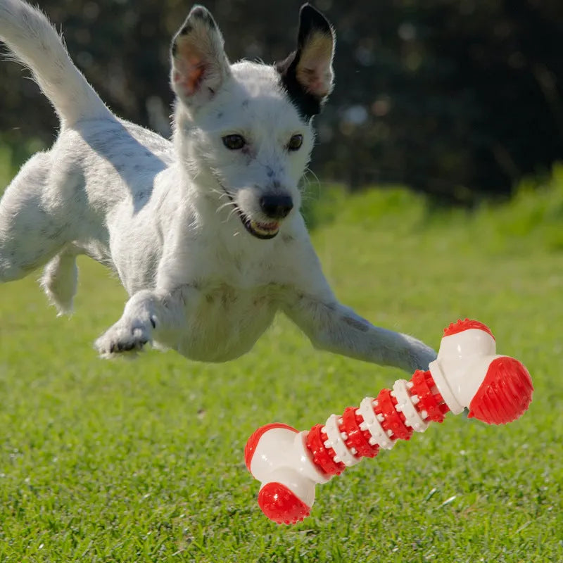 Blue bone-shaped interactive dog toy for small breeds with chewable ends and a central treat holder.
