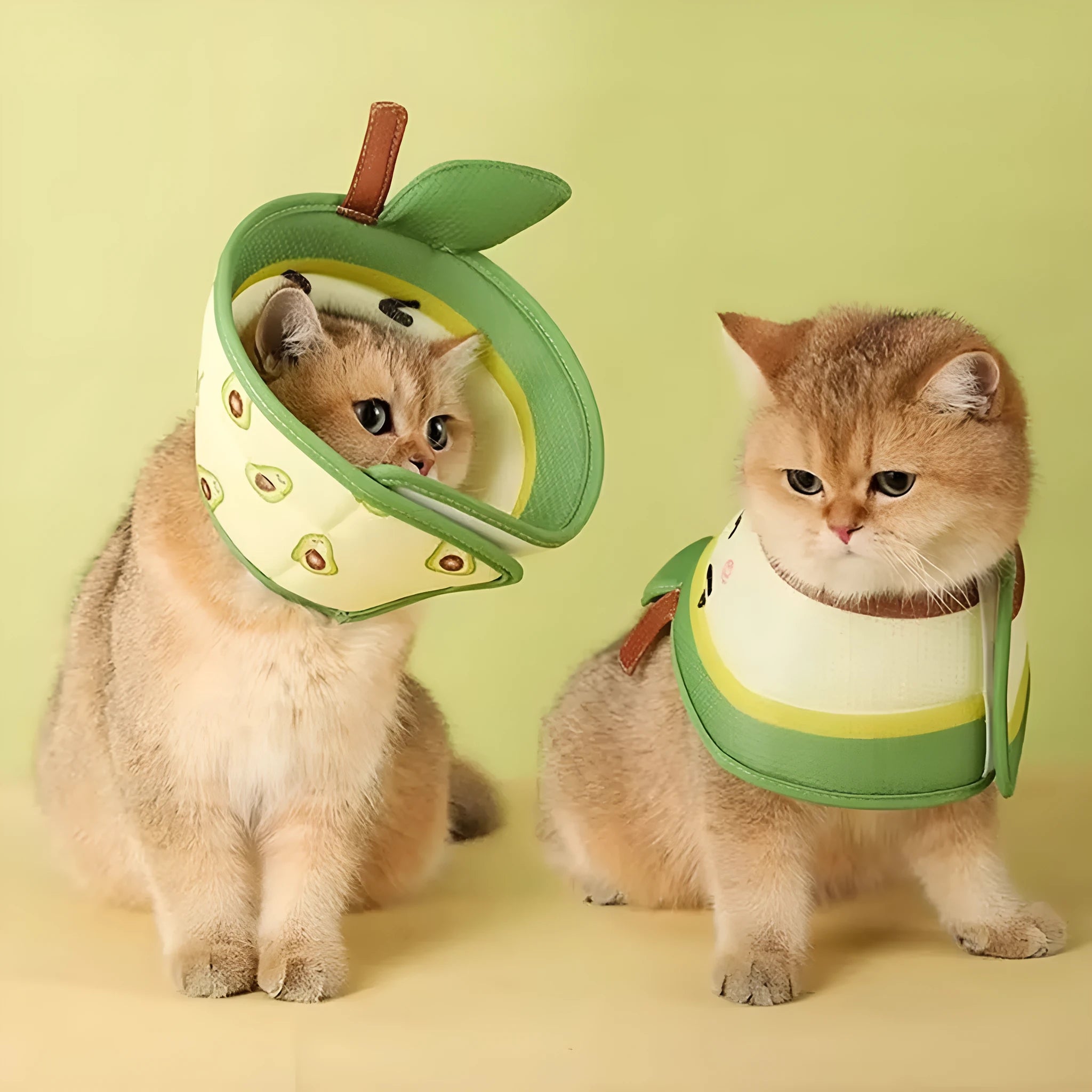 Soft white EPE foam cat cone collar with adjustable strap and folded edges.