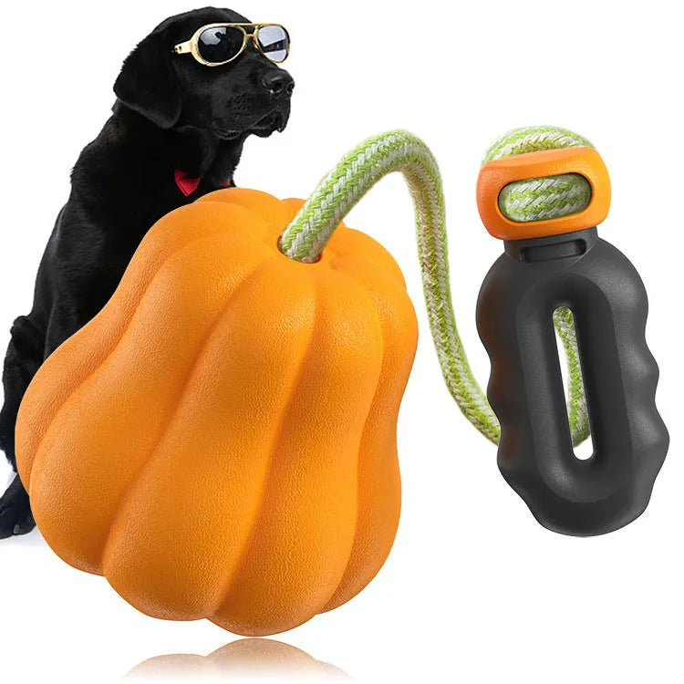 Orange plastic dog chew toy with a blue rope attached, shown on a neutral background.