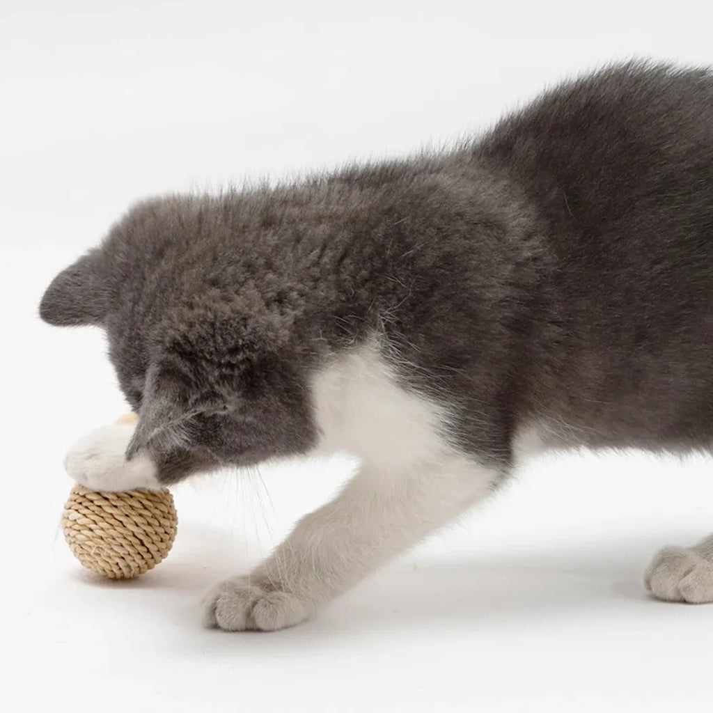 Two cat ball toys: rattan ball with bell and faux feather ball with coloured feathers for interactive play
