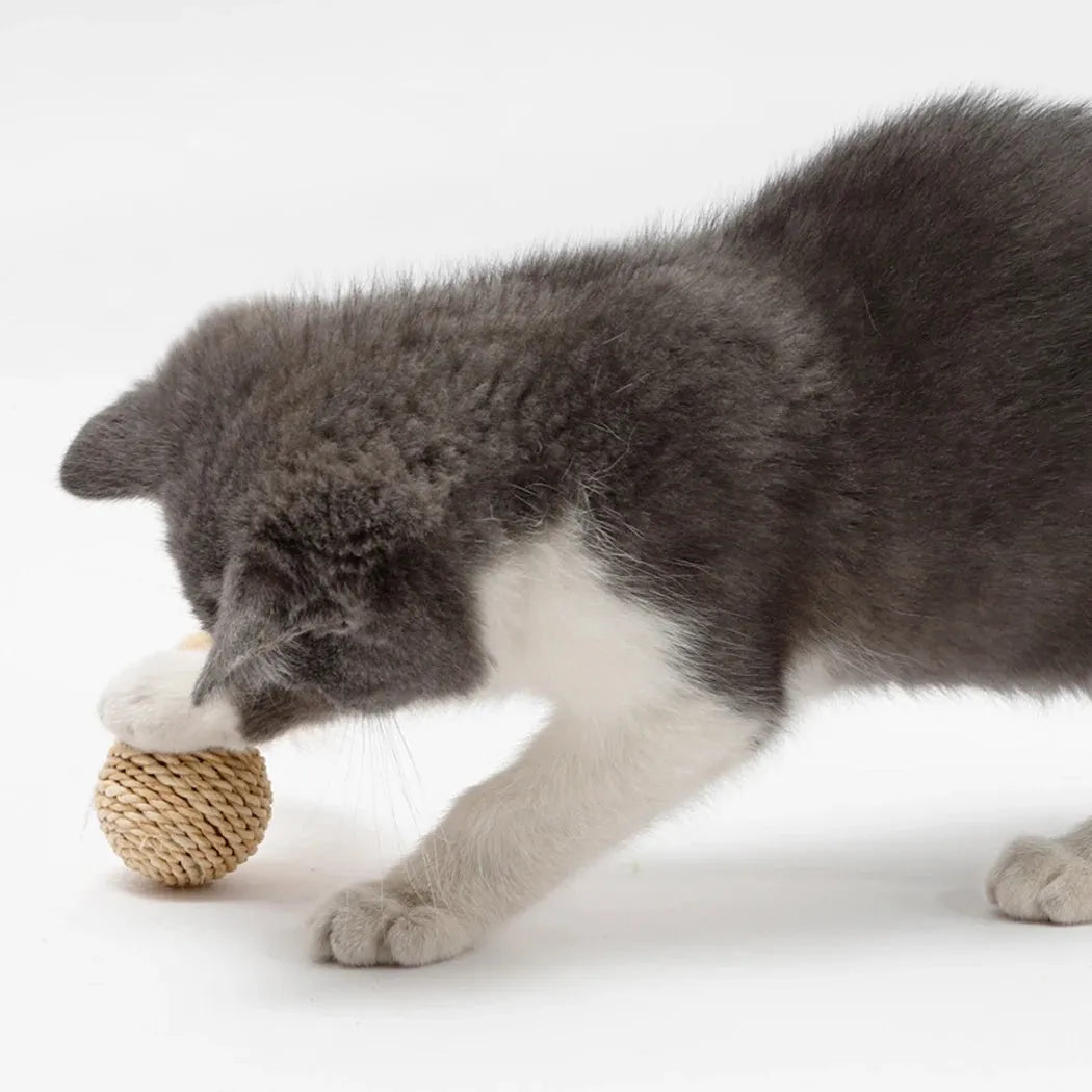 Two cat ball toys: rattan ball with bell and faux feather ball with coloured feathers for interactive play