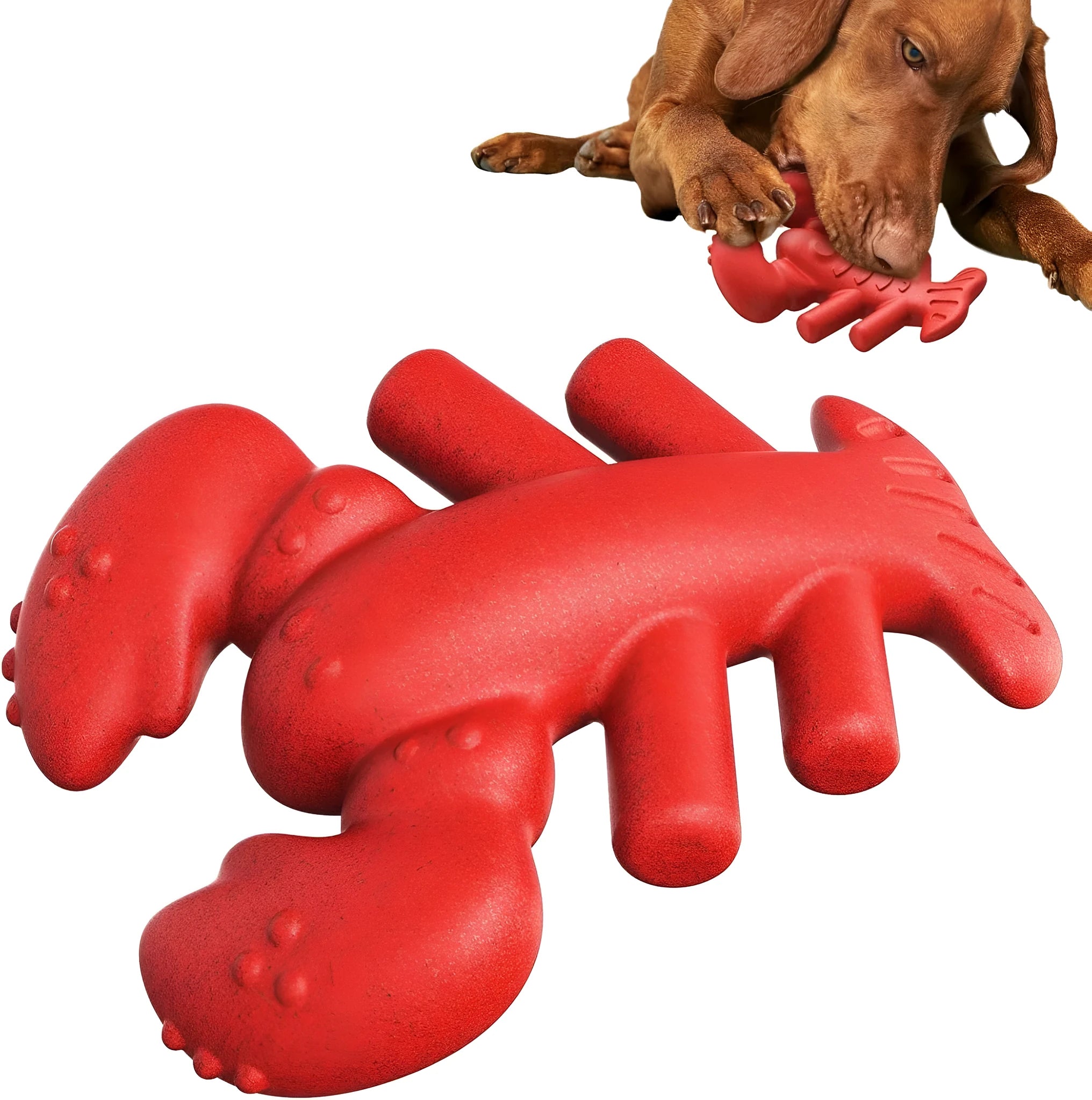 Red nylon dog chew toy for large dogs with bone design for aggressive chewers