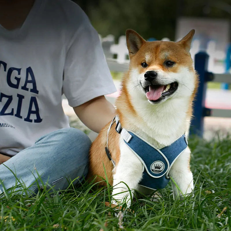 Adjustable dog cat harness vest in breathable mesh material with reflective strips and metal D-ring