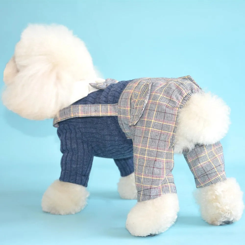 Cotton dog shirt with suit collar design in orange and dark blue colours