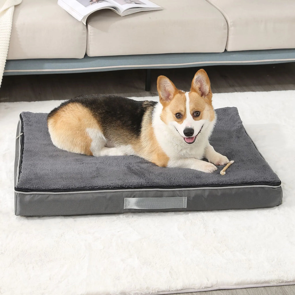 Removable washable memory sponge dog mat in brown colour showing size options