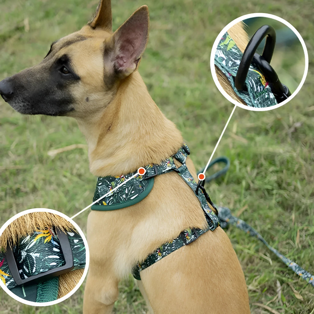 Adjustable cloth vest dog harness and lead six-piece set with collar, bow tie, scarf, and waste bag dispenser.