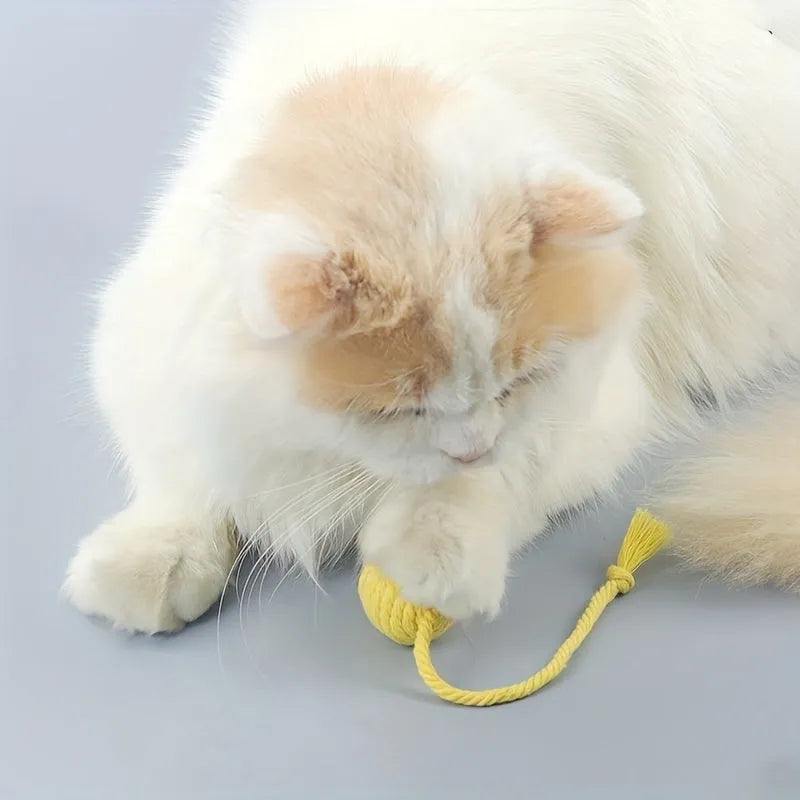 Colourful cat toy ball with rope handle and internal bell in small and medium sizes