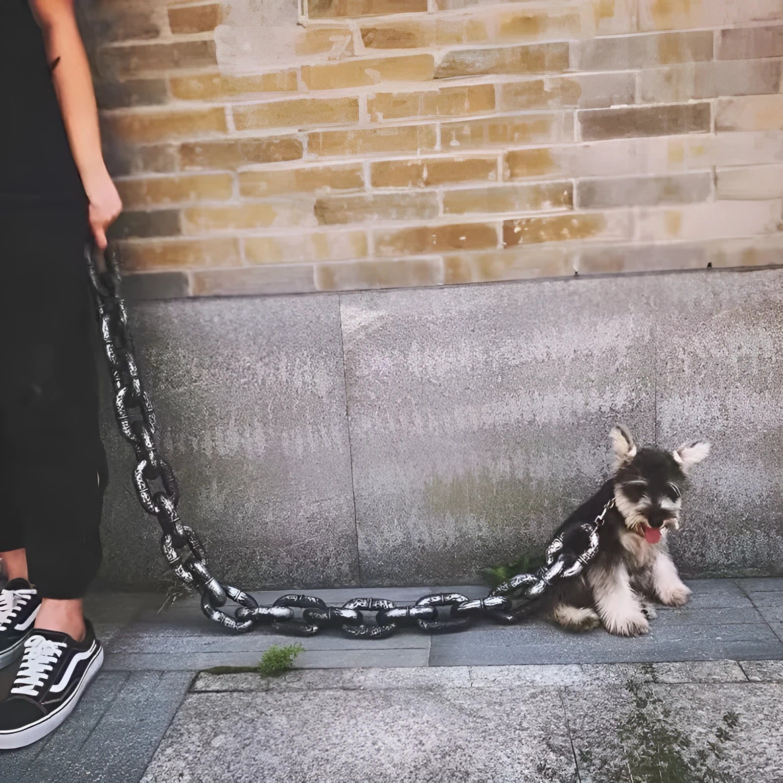 Polypropylene dog leash prop in antique silver, bronze, or black colour, shown in a coiled style.