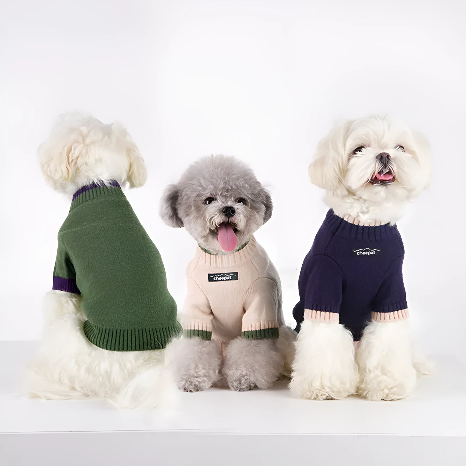 British style wool pet sweater with two-legs design in contrast colours for dogs and cats