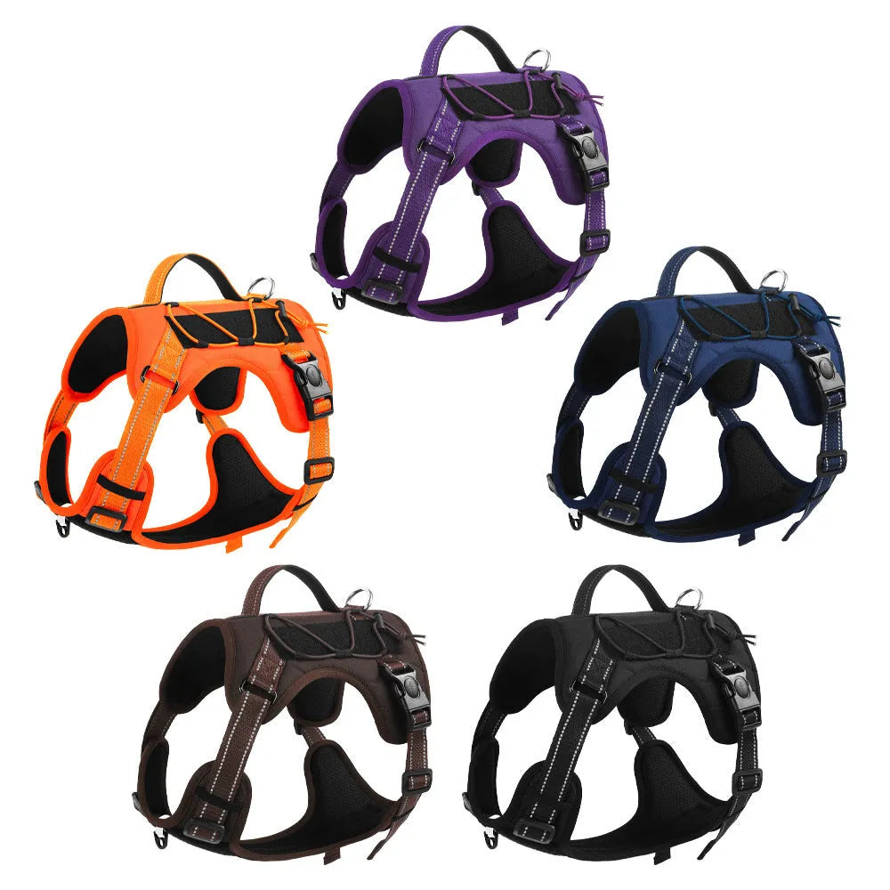 Orange reflective dog harness vest with integrated black hand-holding rope, shown on a dog.