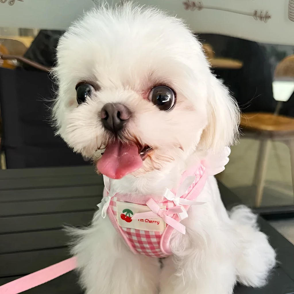 Cotton dog harness with chest and back strap in pink colour