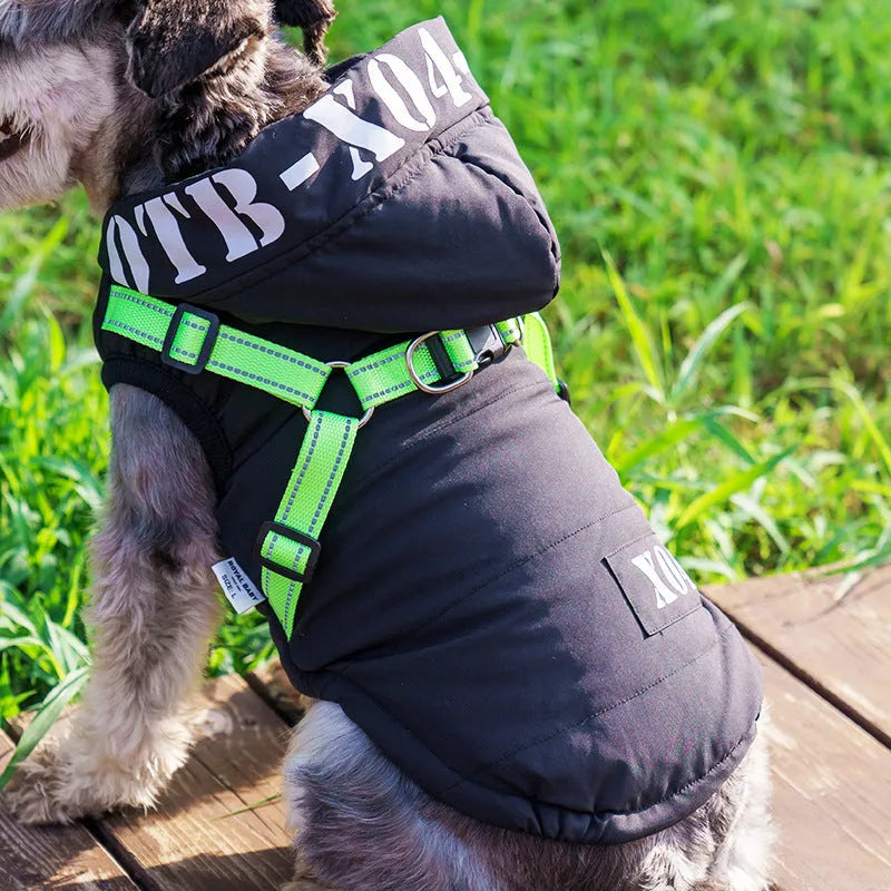 Red fleece-lined waterproof dog winter jacket with hood on a medium-sized dog
