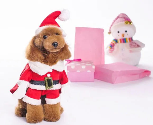 Red polyester dog Christmas sweatshirt with matching hat