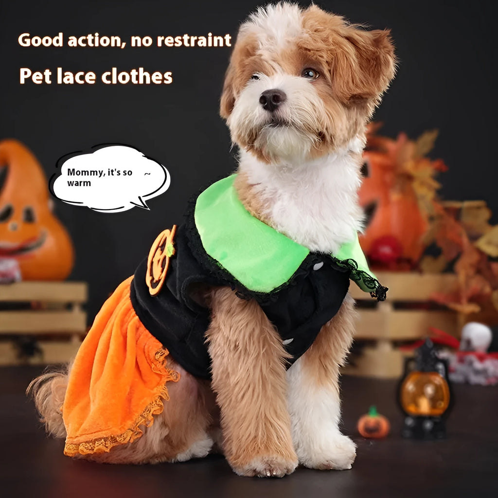 Halloween pumpkin skirt pet costume for small dogs in crystal velvet fabric