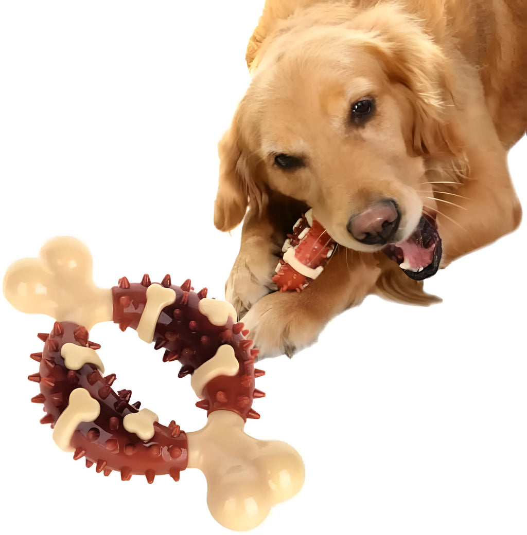 Natural rubber bone-shaped dog molar toy for teeth grinding in two size options