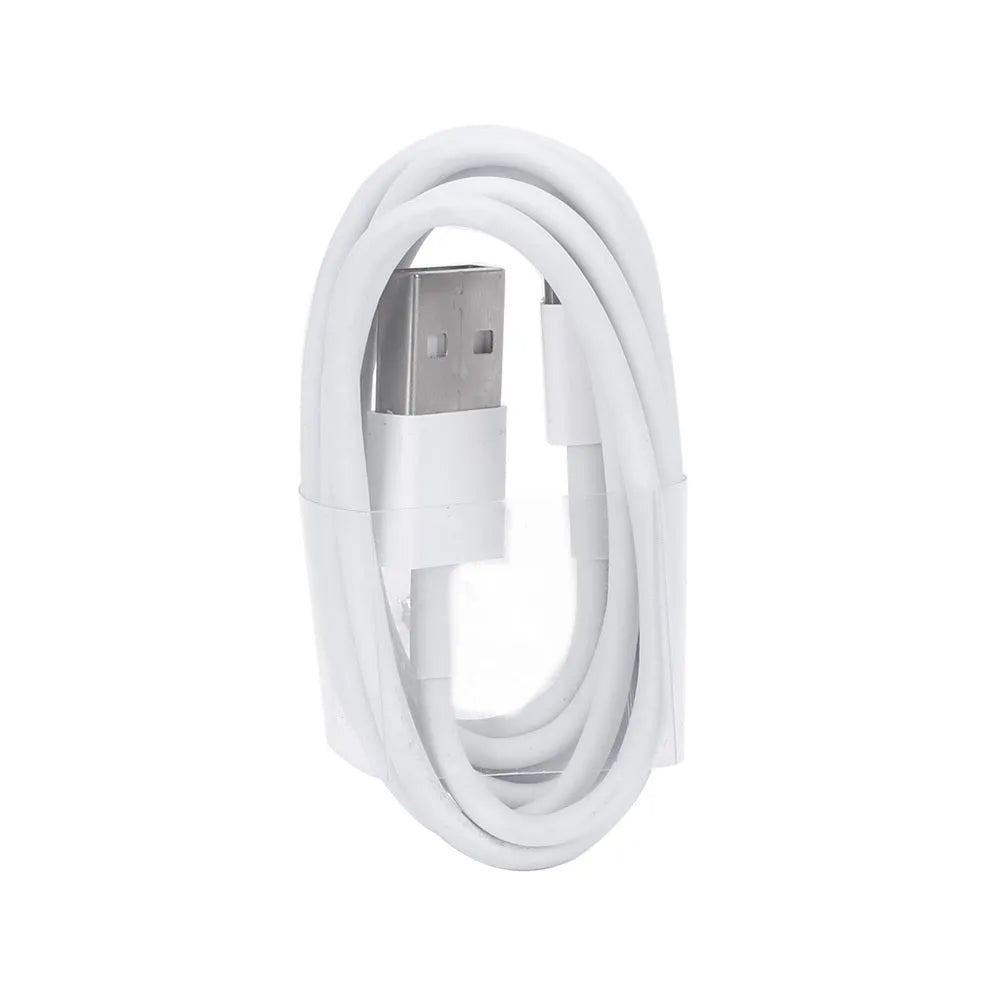 5V 2A USB travel charger and cable compatible with iPhone and iPad models