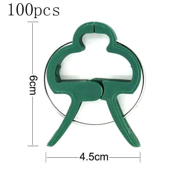 Green plastic plant fixing clips holding climbing plant stems against a support structure