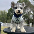 Blue and grey white slim-fit polyester hoodie for pets with reflective lettering on the back.