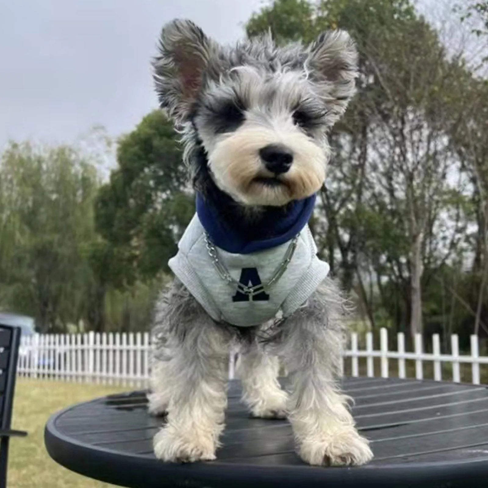 Blue and grey white slim-fit polyester hoodie for pets with reflective lettering on the back.
