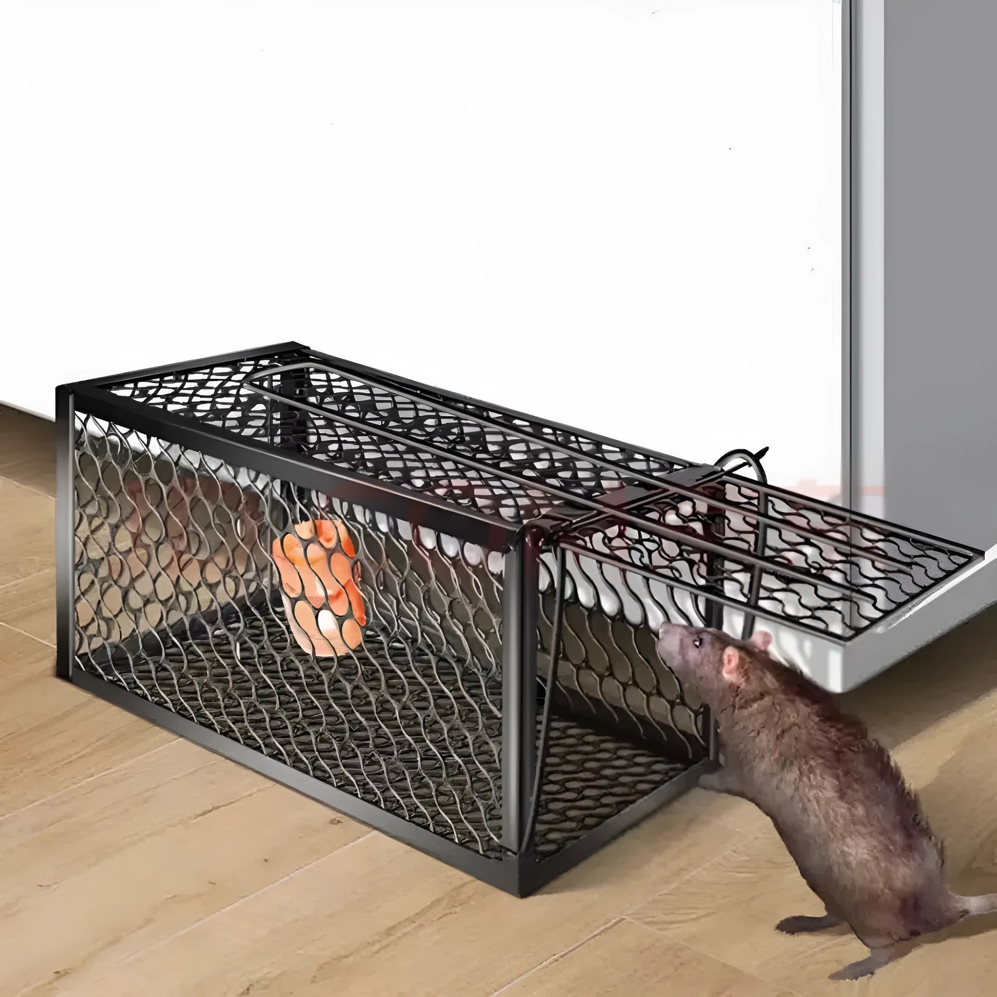 Automatic mouse trap cage for indoor rodent control available in multiple sizes