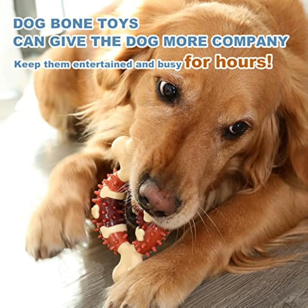 Natural rubber bone-shaped dog molar toy for teeth grinding in two size options