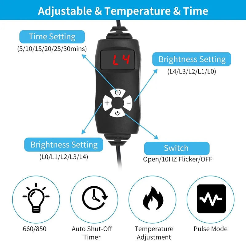 Black infrared therapy belt for waist pain relief with red light technology
