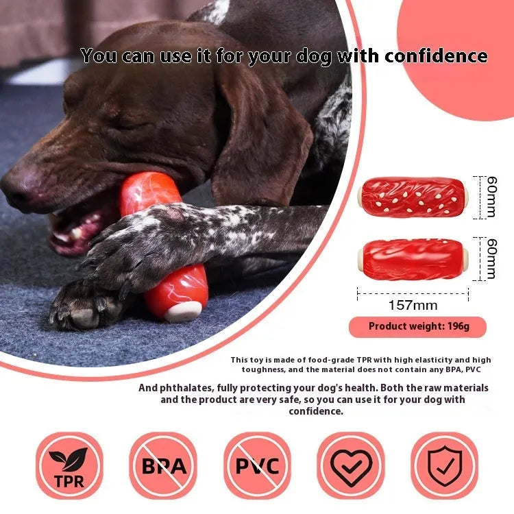 Primary colour plastic dog chew toy shaped like a toothbrush with a large molar rod.