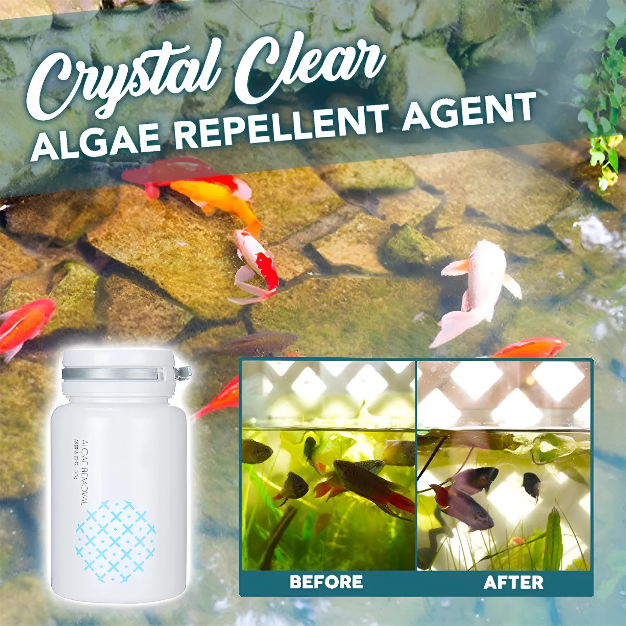 50g pool algaecide treatment for swimming pool algae control and water quality purification