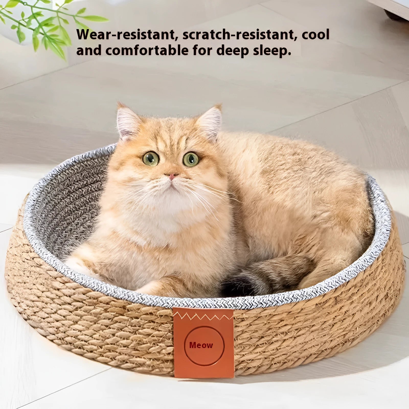 Rattan woven cat nest bed for indoor cats, available in four sizes.