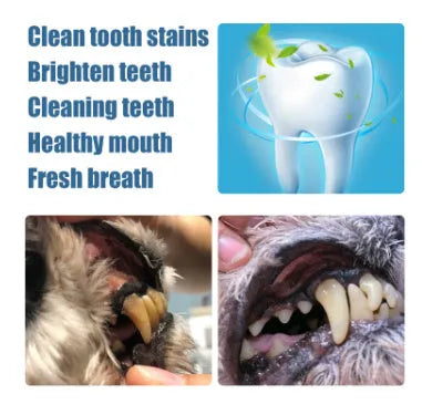 Yegbong white pet teeth whitening pen with two dental brushes for dog and cat tartar removal