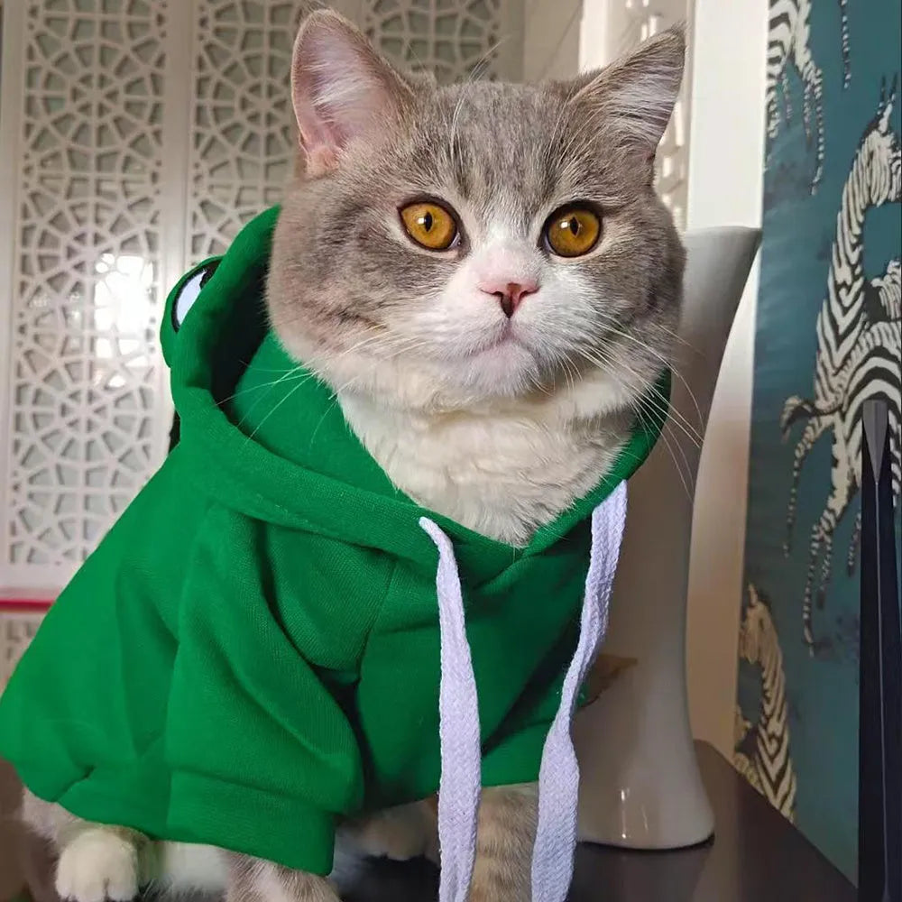 Green frog costume hoodie worn by a small dog, showing soft fabric and hood.