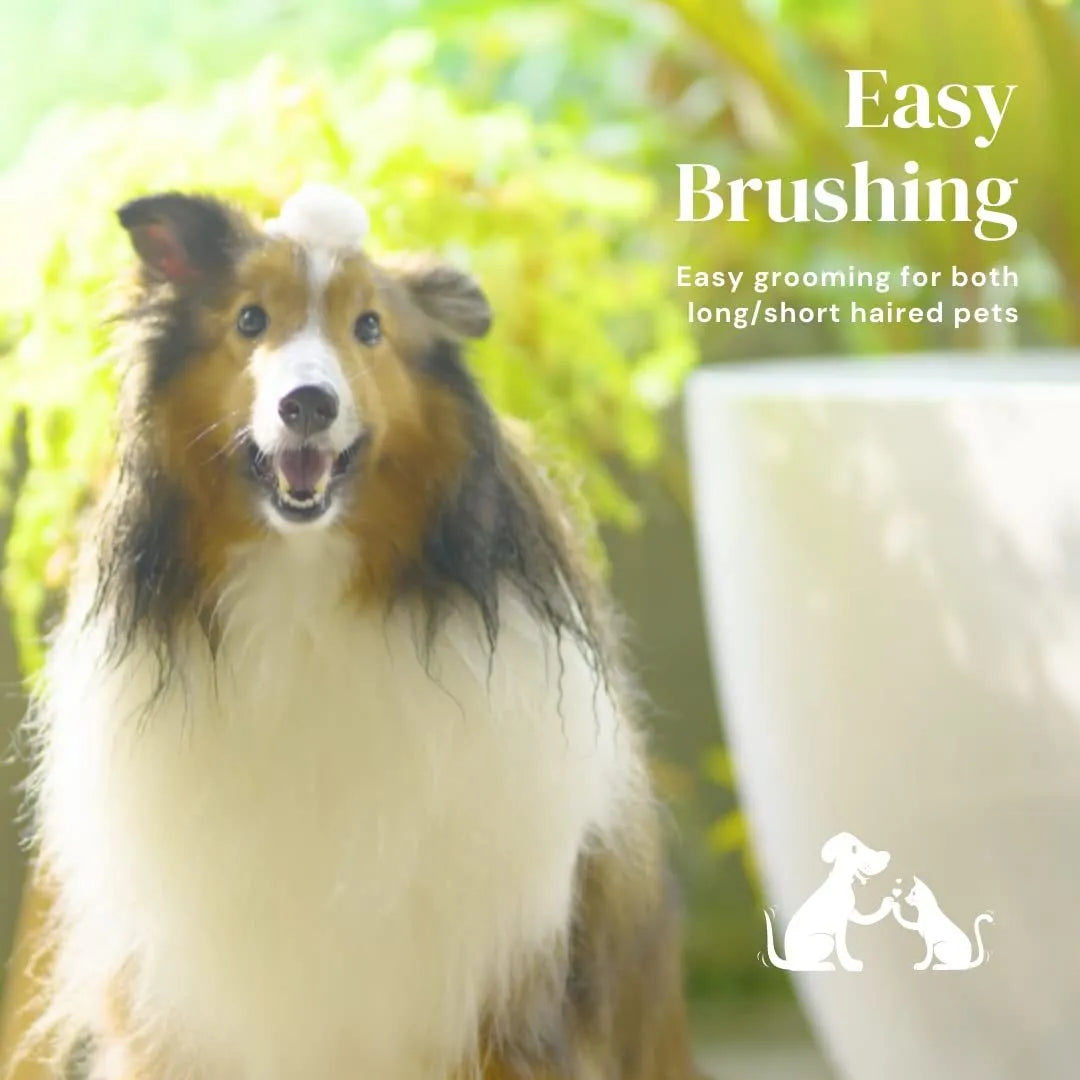 Blue self-cleaning slicker brush for dog and cat grooming on a white background