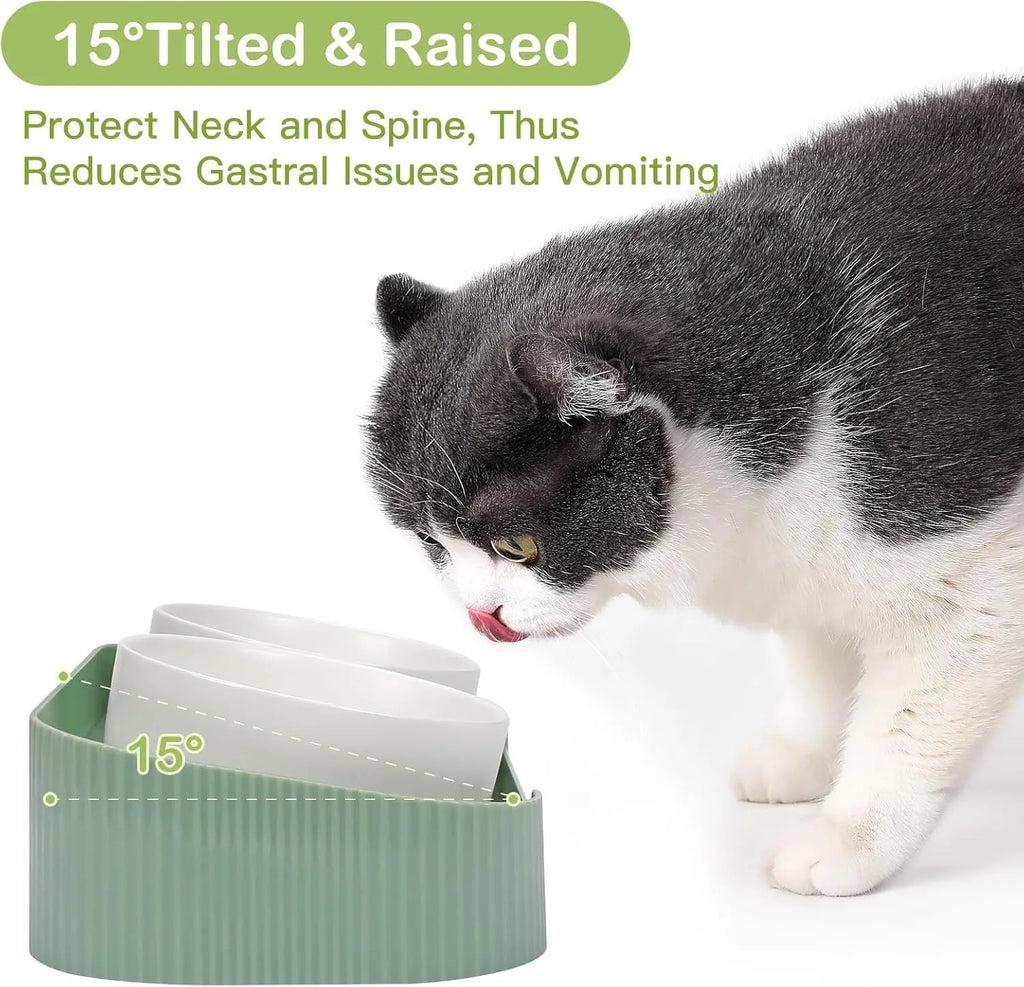 Ceramic elevated cat bowls with 15-degree tilted design in green, white, or yellow colour options