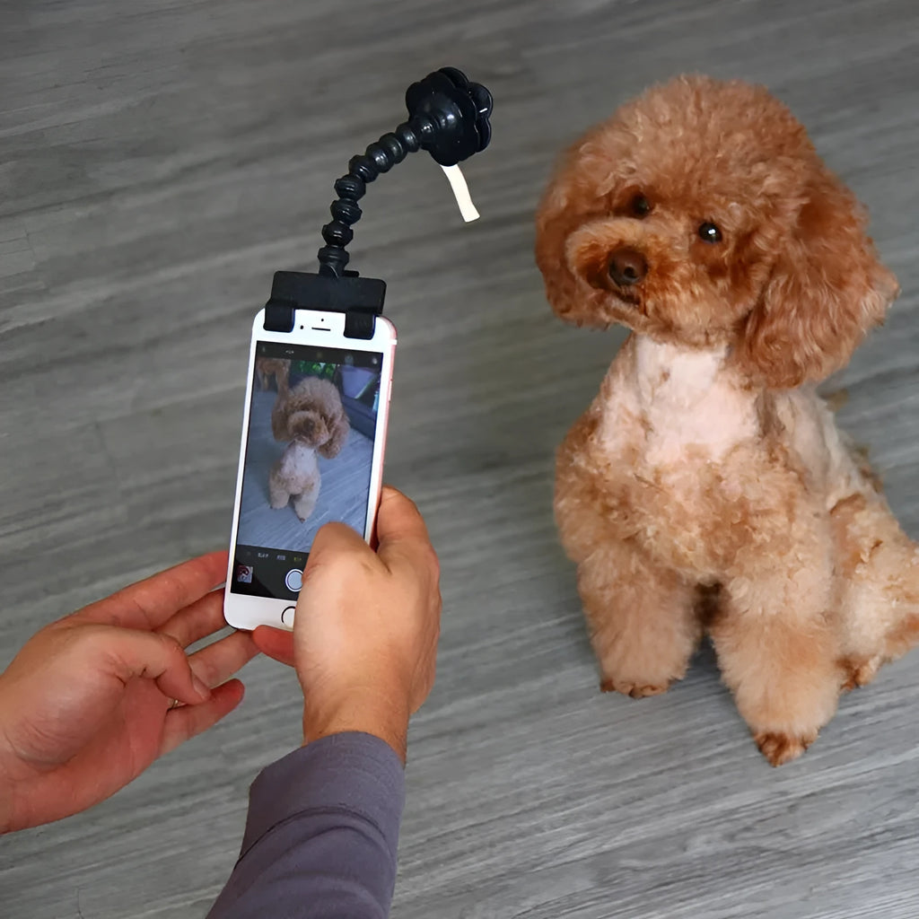 Black and white PVC pet selfie stick with square clip and flower clip for camera attachment.