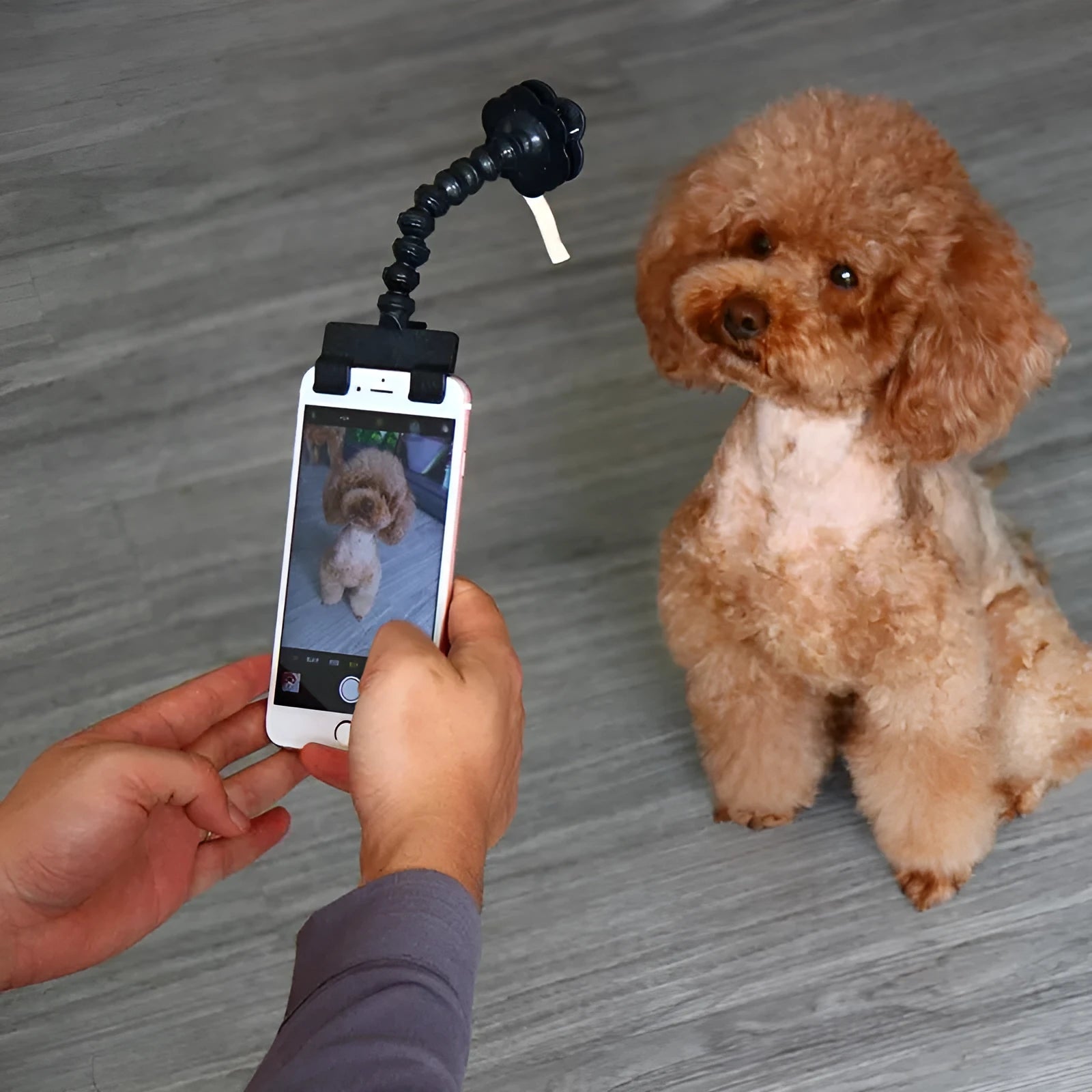 Black and white PVC pet selfie stick with square clip and flower clip for camera attachment.