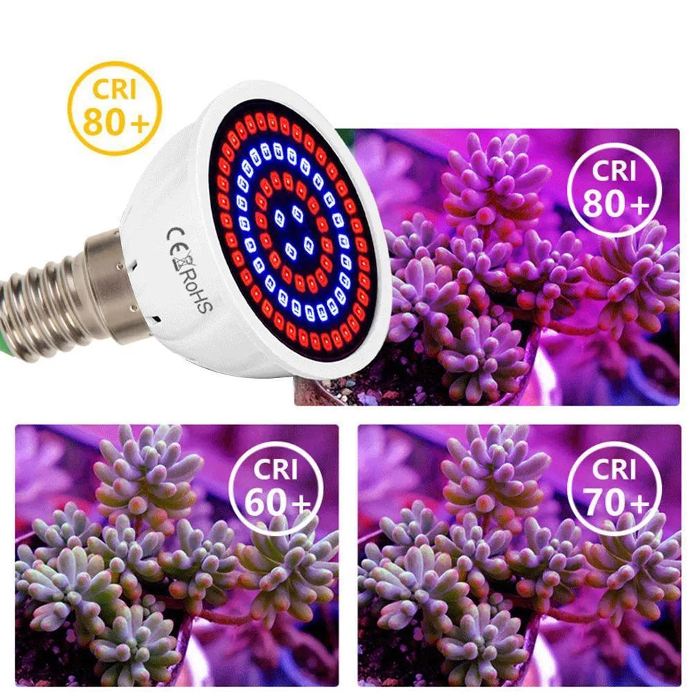 White LED plant growth lamp with 80 beads for indoor potted plants up to 80 square centimetres