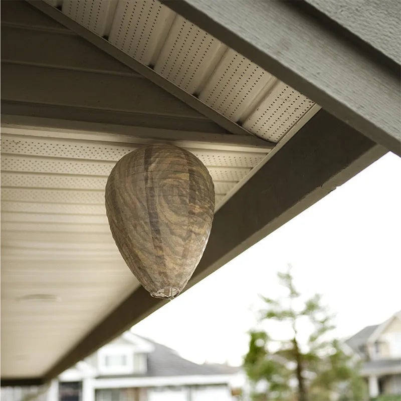 22 by 28 cm honeycomb paper lantern in photographic print colours, shown in its expanded 3D shape.