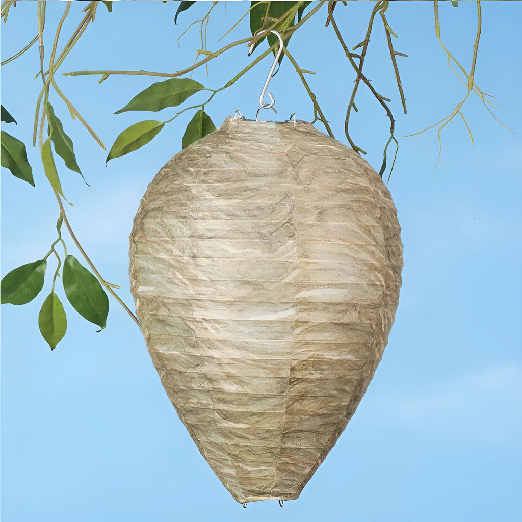 22 by 28 cm honeycomb paper lantern in photographic print colours, shown in its expanded 3D shape.
