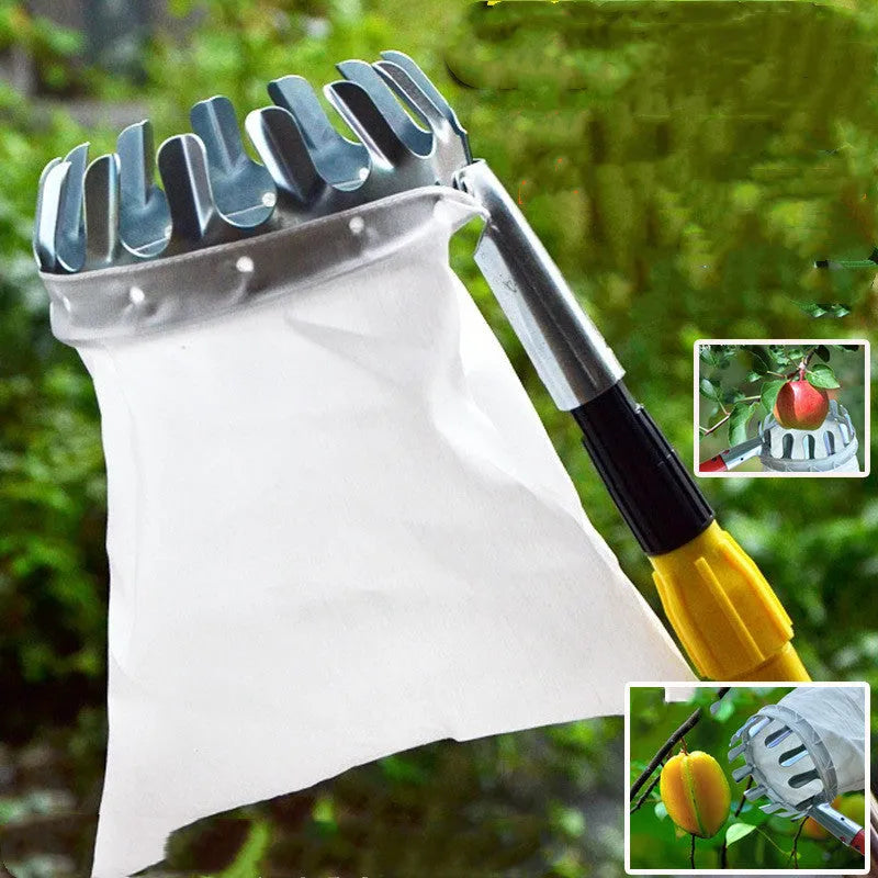 Steel frame fruit picker tool with attached cloth collection bag for harvesting garden fruit