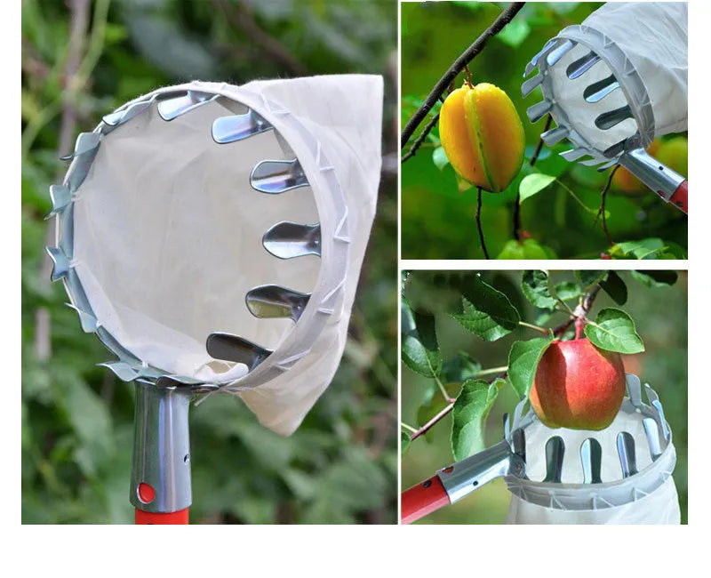 Steel frame fruit picker tool with attached cloth collection bag for harvesting garden fruit