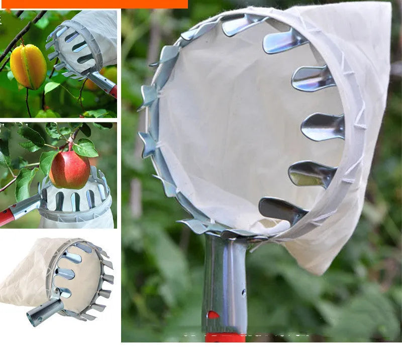 Steel frame fruit picker tool with attached cloth collection bag for harvesting garden fruit