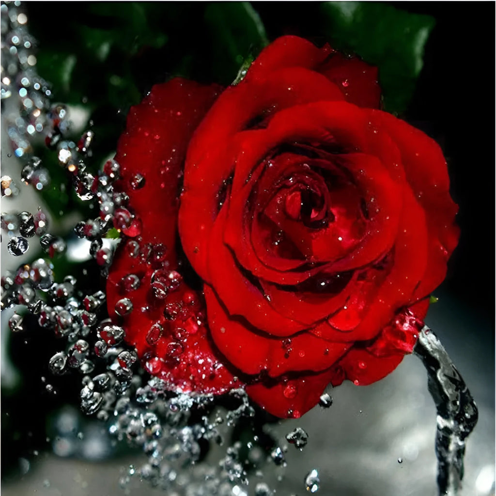 Hand-painted frameless red rose oil painting on 40x50cm linen canvas.