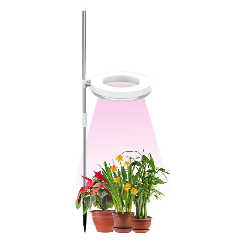 Desk plant growth lamp with full spectrum lighting and compact design for indoor plant care