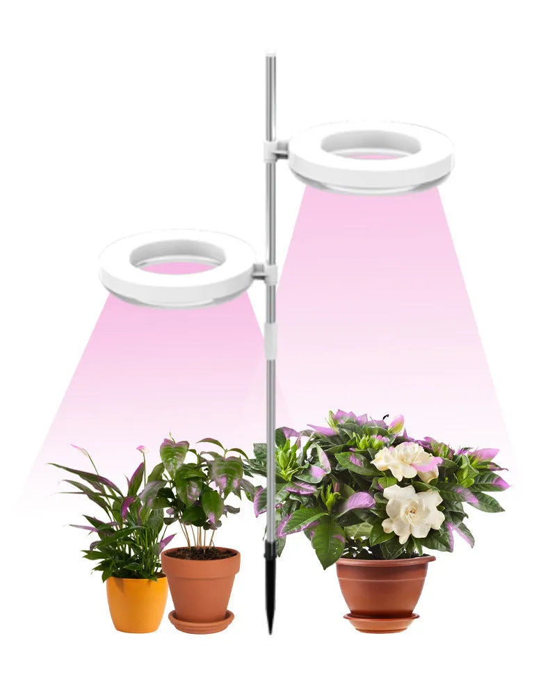 Desk plant growth lamp with full spectrum lighting and compact design for indoor plant care