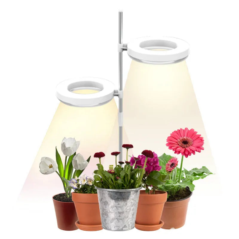 Desk plant growth lamp with full spectrum lighting and compact design for indoor plant care